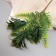 Bouquet "Platicurium and Fern" 40 cm
