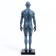 Model "Human Body" 29cm