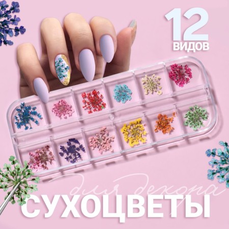 Sudden for decor, 12 species, in case, colorful color