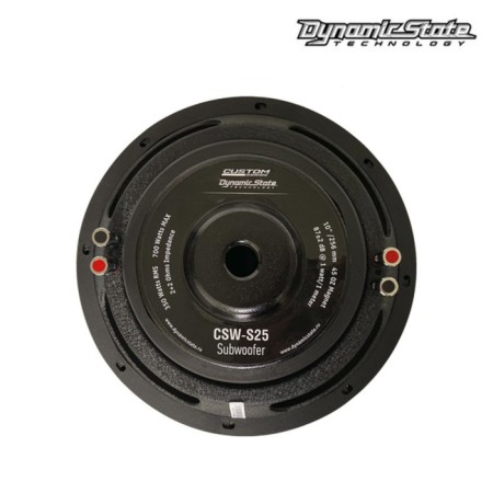 Dynamic State CSW-S25 Custom D2 subwoofer, without a box, passive, 10 "/ 256 mm, max 700 WT-3