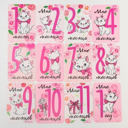 A set of photo shoots, cats aristocrats-3