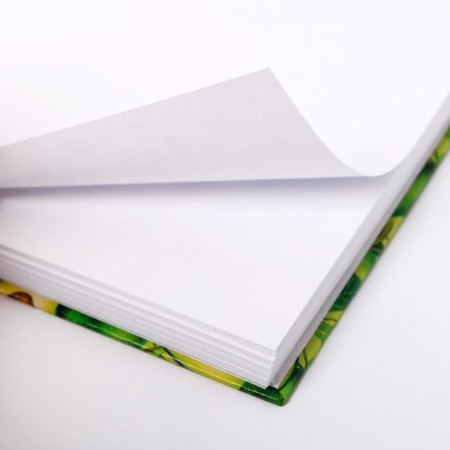 Sketchbook in a solid cover on the crest Aavocado A5, 80 l, 100 g/m-4