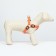 Shleka luminous size l, sling 2.5 cm, og 43-60 cm, 3 orange glow modes 97722