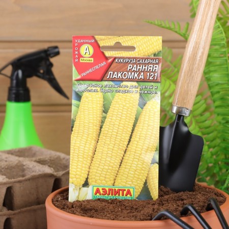 Sugar corn seeds "Early Tandy 121", 7 g-2