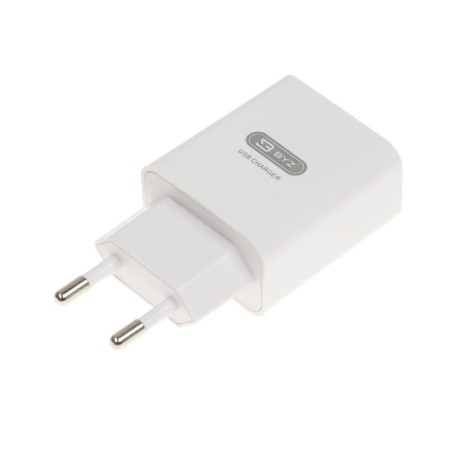Network charger BYZ B35, 2 USB, 2.1 A, Microusb 1 m, white cable-4
