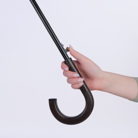 Umbrella - a semiautomatic “cage” cane, 10 spokes, r = 60 cm, color mix-21
