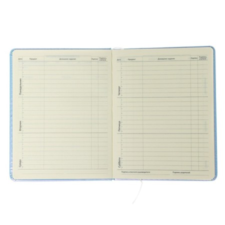 Universal diary for grade 1-11 "Why?", Firm cover, artificial leather, with foam, lies, 80 g/m2-6