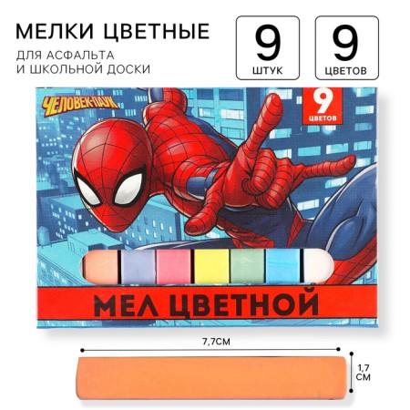 Small schools 9pcs "Spider-Man", rectangular