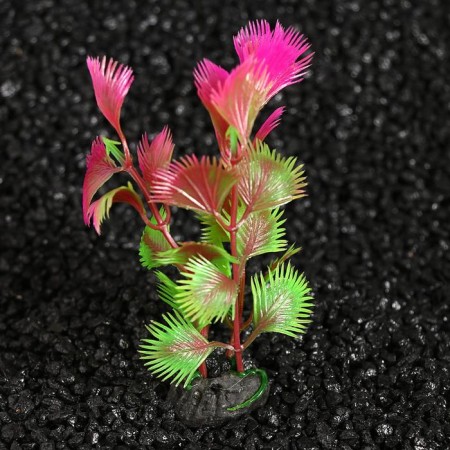 Set of plants of artificial aquarium on a stand under stone (size 1 pc 10x2.5x1.5 cm)-4