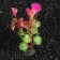 Set of plants of artificial aquarium on a stand under stone (size 1 pc 10x2.5x1.5 cm)