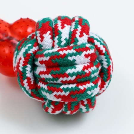 Cable toy with a bone, up to 150 g, up to 40 cm, red-white-green-2