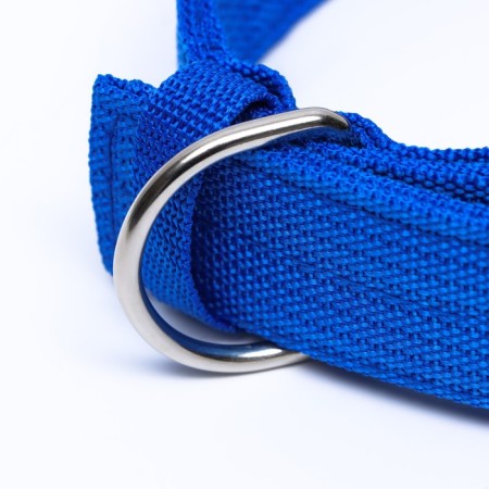 Four-layer collar, 64 x 4 cm, Osh 50-58 cm, polyester, blue-3