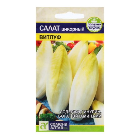 Salad Seeds "Tsikoria Vitluf", 0.5 gr.