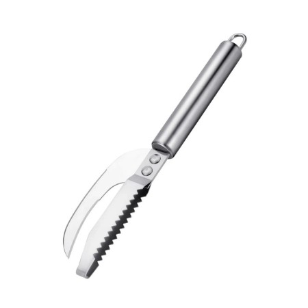 Fish cleaning 2B1 Regent Inox Staccato-1