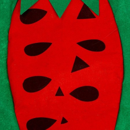 Carnival set "Funny watermelon", felt-6