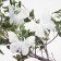 A butterfly for decor and floristry, on a clothespin, plastic, white, 1 pc., 7.5 x 6 x 1 cm