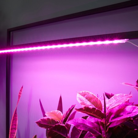 Lamp for plants LED linear, 900 mm Uniel, 14 W, LED, IP65, Color transparent-5