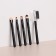 A set of makeup brushes, 5 items, PVC chech, black matte color
