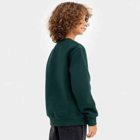 Svitshot for a boy, I have started, fir color, height 104-110 cm-1