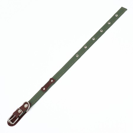 The collar is a tarpaulin two-layer dimensionless, with a tongue and a leather bone, 2.5x60 cm, Osh 30-55 cm 90-5