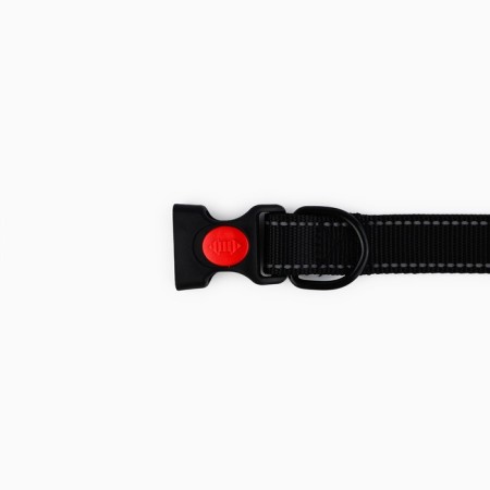 A collar with a nylon lining with a fastx 2 cm, black-6