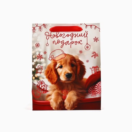 Laminated horizontal "New Year gift", MS 18 x 23 x 10 cm, New Year-3
