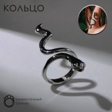 The ring 