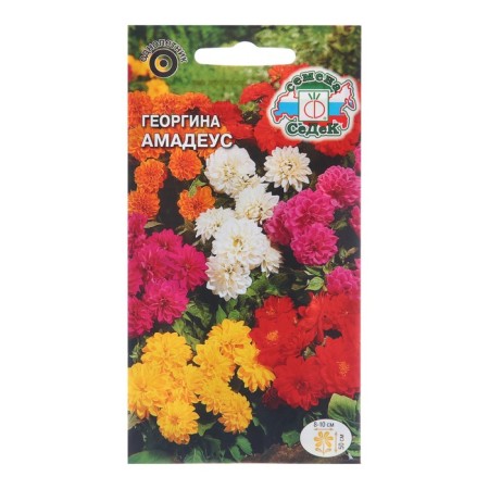 Georgin's flowers "Amadeus", 0.15