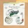 Acetate carriers for cupboarding with foil "fishing", 39 pcs