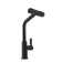 ACCOONA A5490F-9 kitchen mixer, with retractable watering can, pour 27 cm, brass, black