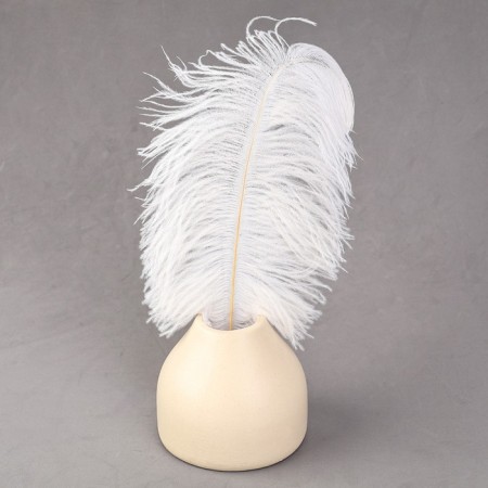 Feather for decor, size: 30-35 cm, white color-4
