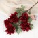 Artificial flowers "Tensor" 10x65 cm, burgundy