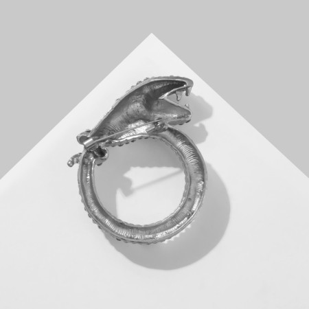 Brooch "Snake" with a ring, the color is white-green in silver-1
