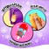 New Year's toy-scurry “Myak-gang” in Medozhenka, mix