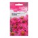 Echinacea Flower seeds "Polyanka", 0.1 g