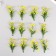 Artificial plant for creativity "Araucaria" set 12 pcs yellow 9.5 cm