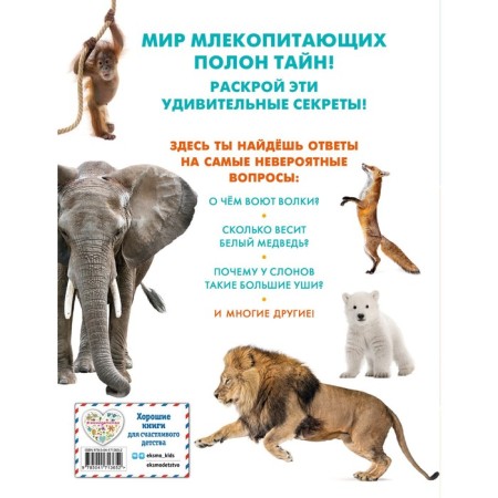 Млекопитающие-1