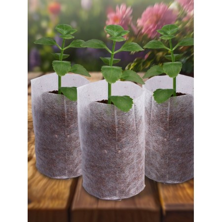 Package for seedlings, 540 ml, 8.9 × 14.5 cm, spanbond density 25 g/m², Greengo-2