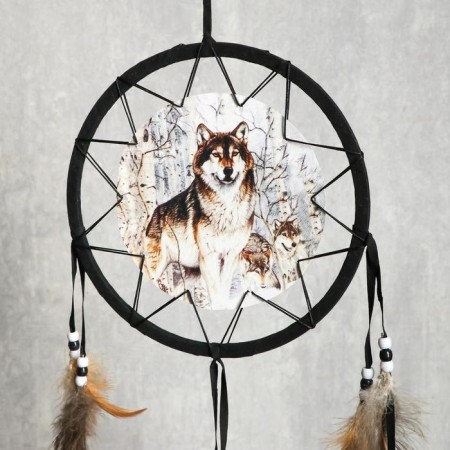 Dreams 4 "Gray Wolf" Circle d = 20 cm-2