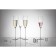 A set of champagne Liberty Jones Celebrate, 160 ml