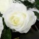 Artificial flowers "Rosa Jeanne" 10x61 cm, white