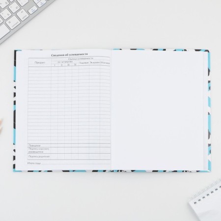 School Diary 5-11 Grade "September 1: Panda", solid cover 7BC, glossy lamination, 48 sheets-7