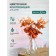 Flower composition "Eucalypt" in a bottle vase, orange / transparent color