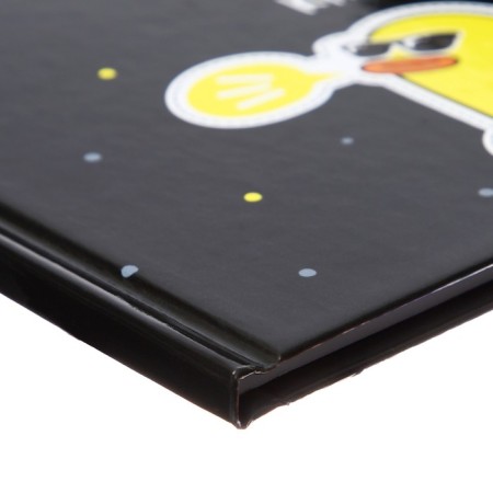 Notebook, A6, 48 sheets, in a cage, "Styakrya", glossy lamination, an offset block 60g/m2-2