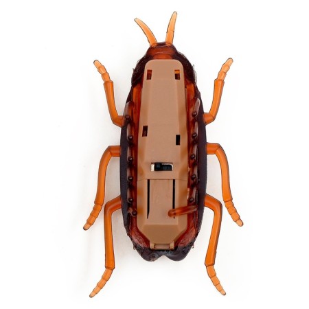 Taracan bug, works from batteries-3