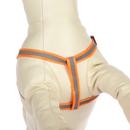 A set with a reflective ribbon, a collar of 120 x 1 cm, fire 26-40 cm, orange-3