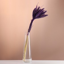 Set of dried flowers 