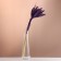 Set of dried flowers "Setarium", ban 7 pcs, length 55-65 (+/- 6 cm), purple