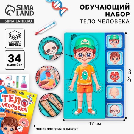 The training set "Human Body", a frame-laying frame and a book with stickers