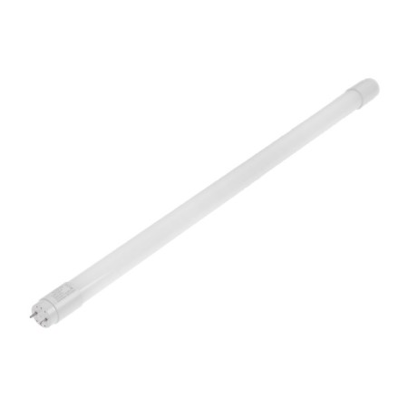 LED lamp Ecola T8, G13, 10 W, 6500 K, 220 V, 605x28 mm, matte glass